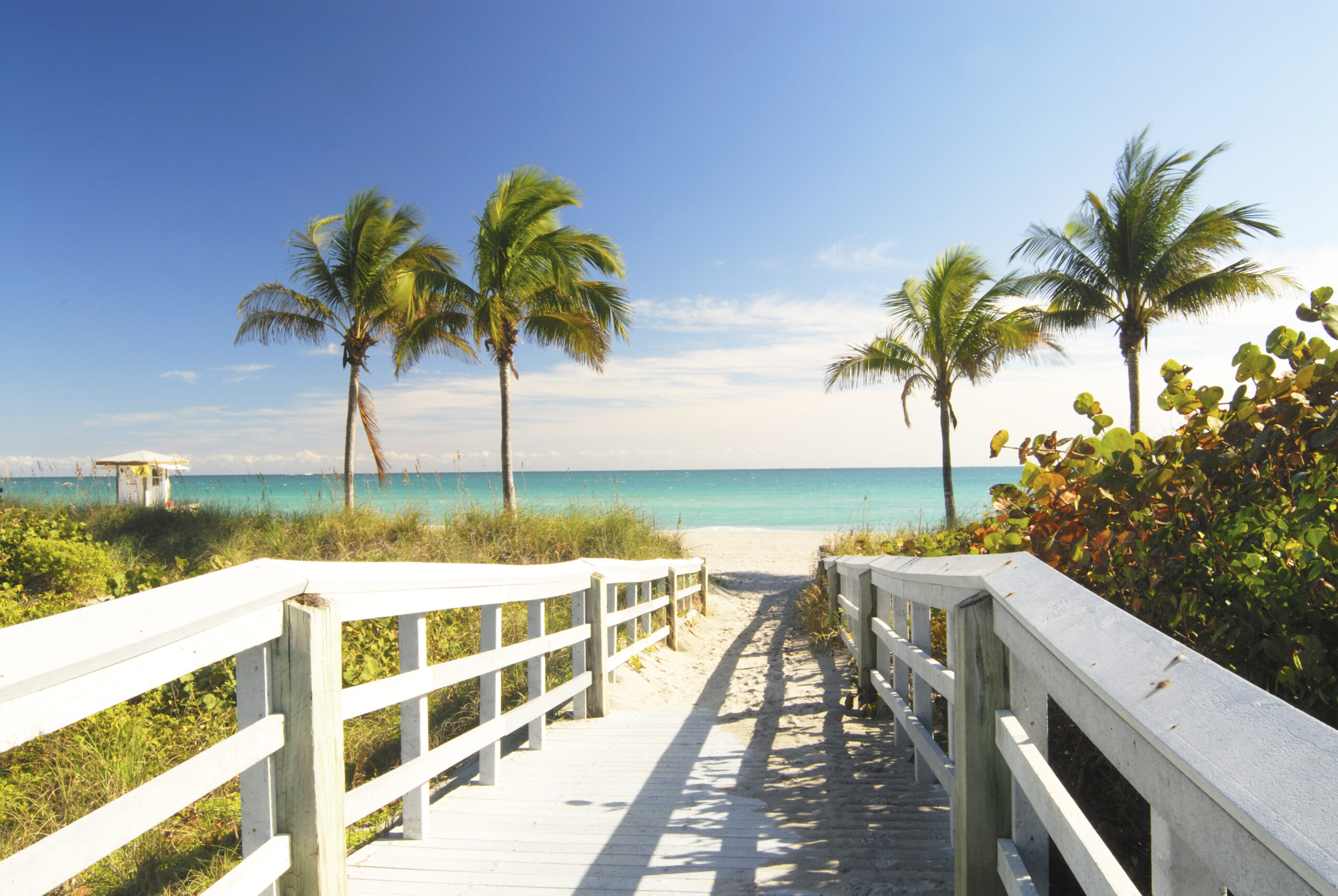 A boardwalk leading to the beach with palm trees.